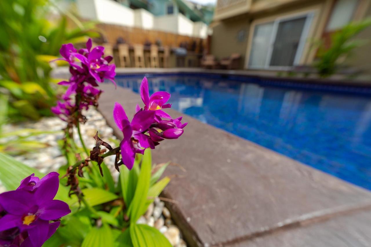 Studio With Mini Kitchen, Pool And Bbq, Pre-Renovation Summer Sale 基黑 外观 照片